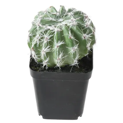 barrel cactus artificiel EN POT ou coussin belle mère 16 cm