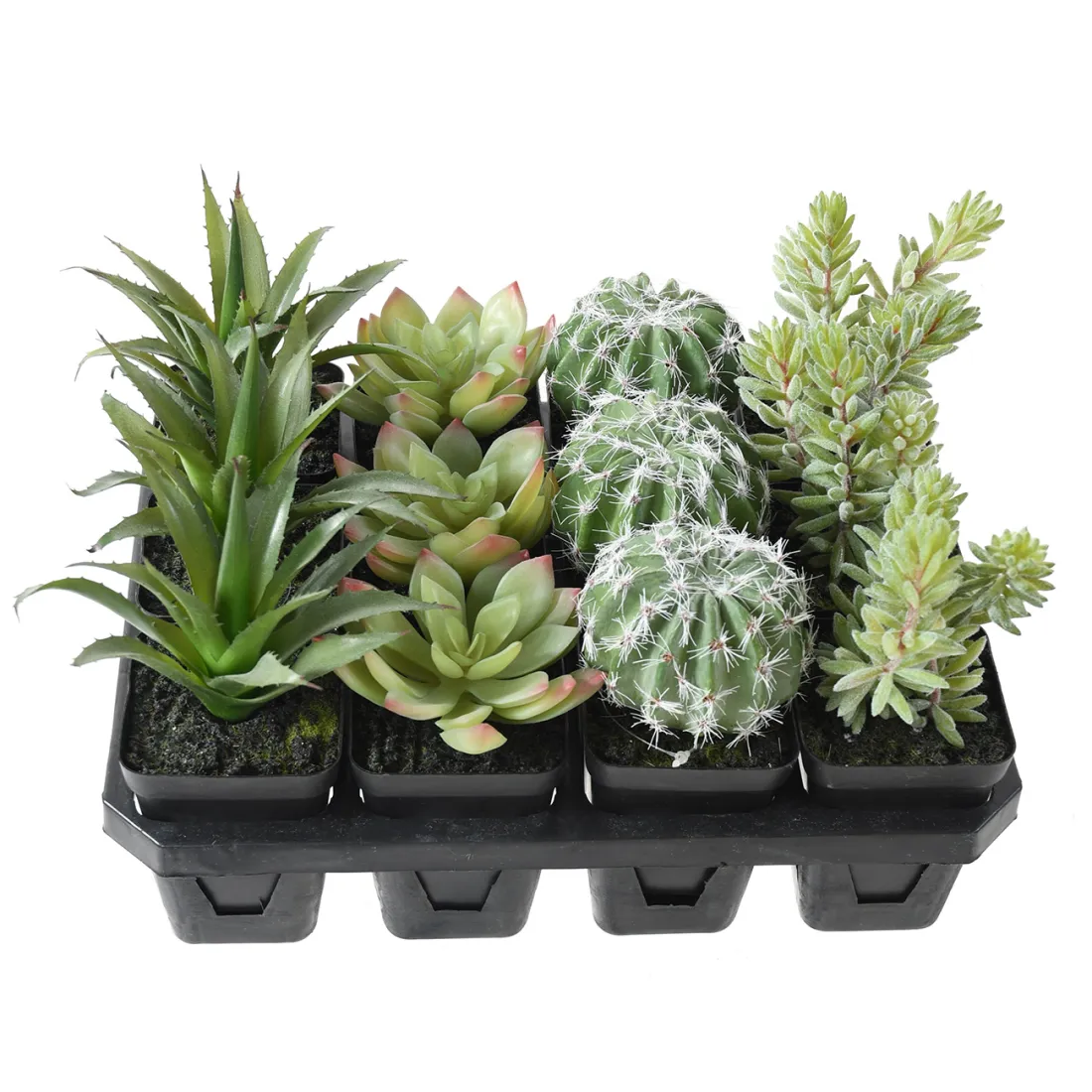 Succulente artificiel EN POT 16 cm