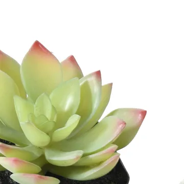 chou artificiel EN POT 16 cm - détails