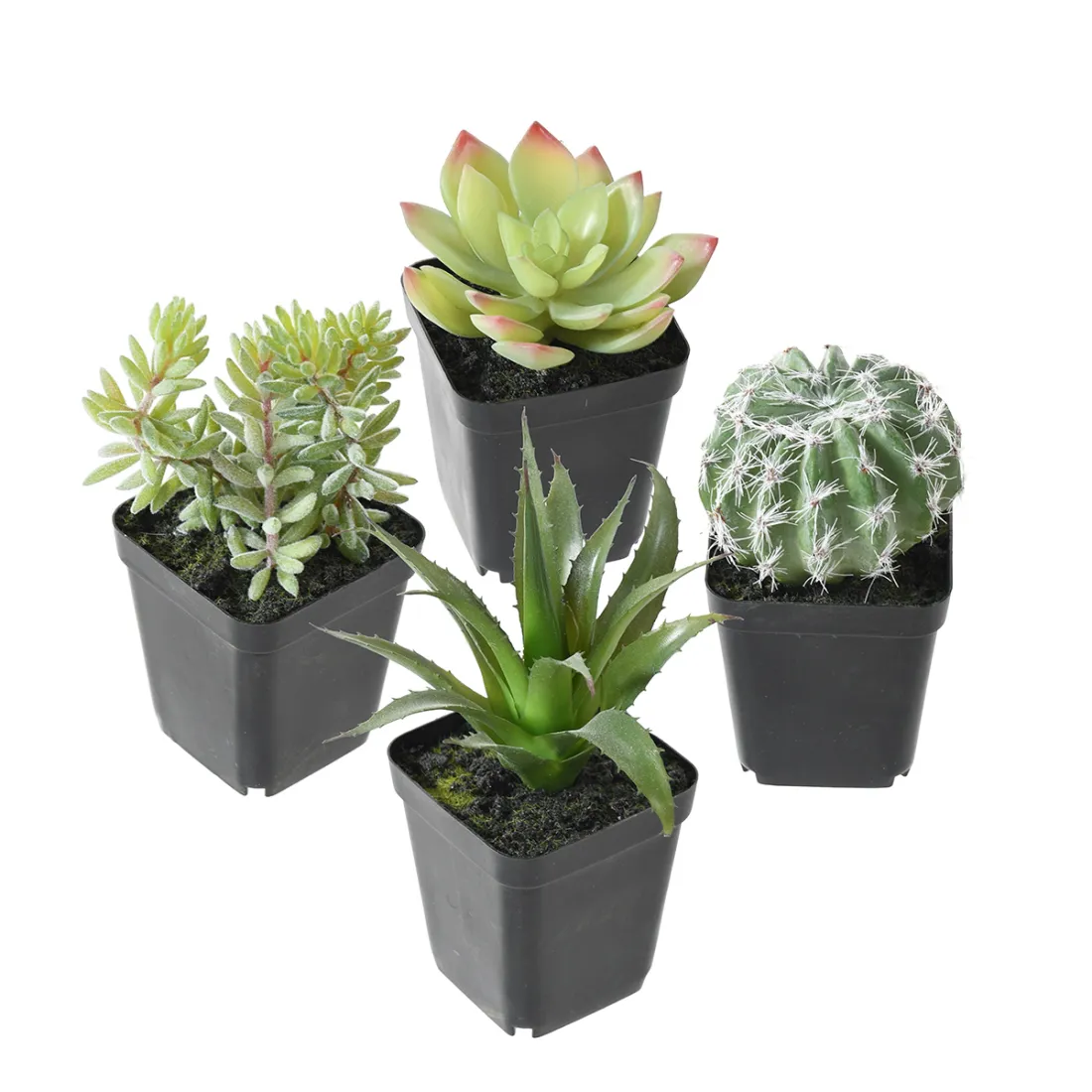 Succulente artificielle EN POT 16 cm - 4 modèles