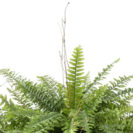 FOUGERE Boston artificielle en pot 110 cm - milieu