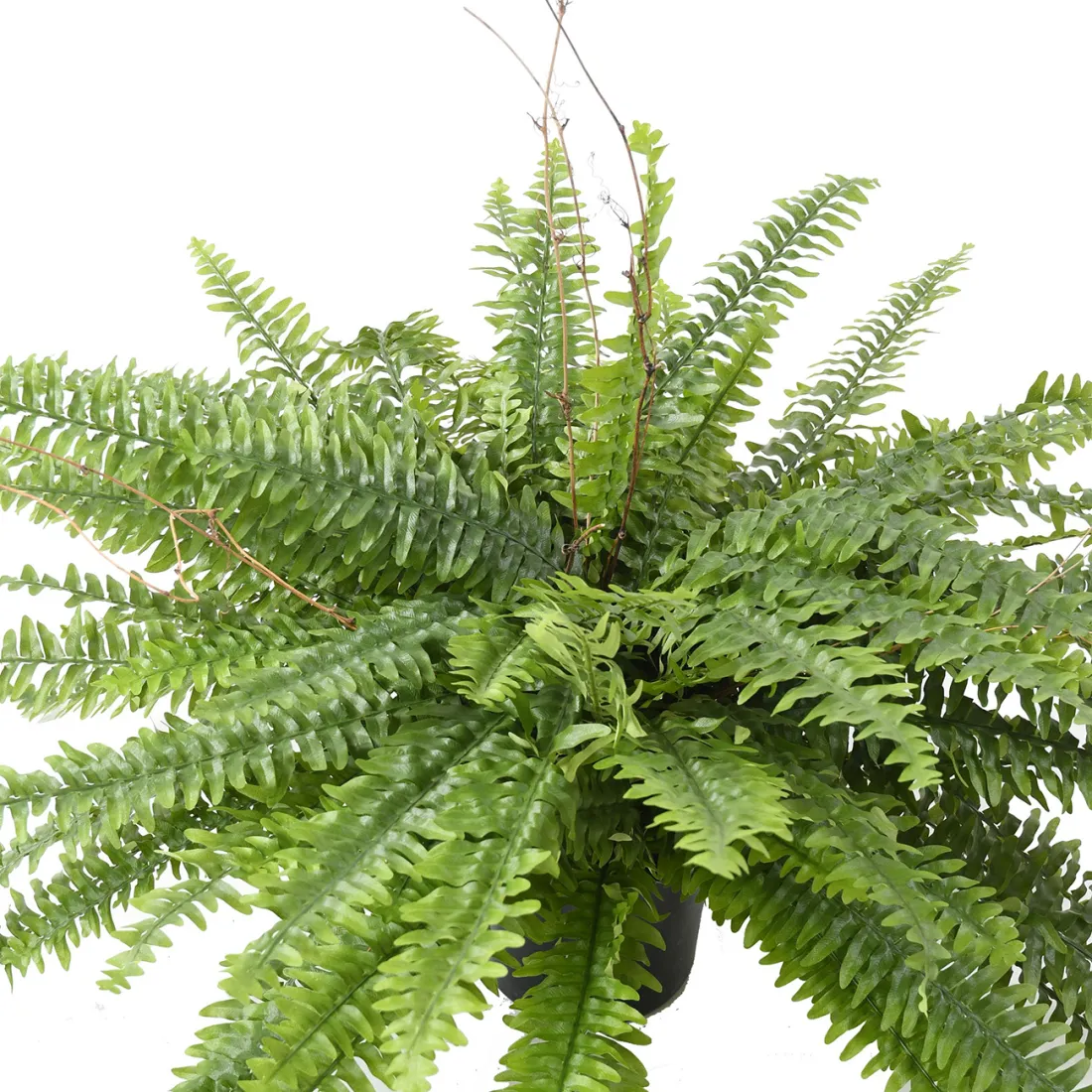 FOUGERE Boston artificielle en pot 110 cm - feuillage