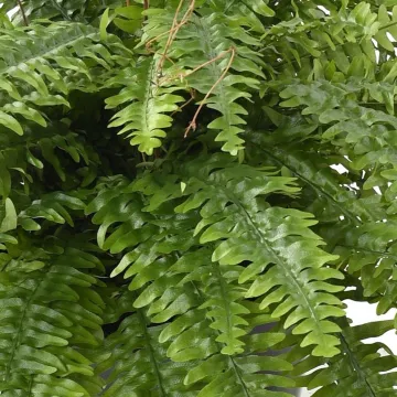 FOUGERE Boston artificielle en pot 110 cm - feuilles détails