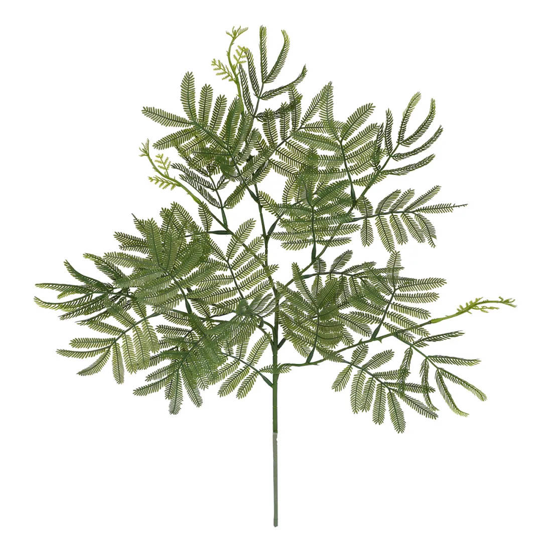 Branche TAMARIN (Mimosa) artificielle 60 cm - entier écarté
