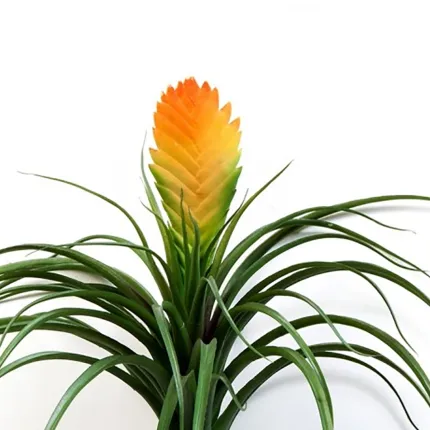 VRIEZA artificiel 30 cm - fleurs détails