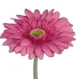 GERBERA artificiel fushia 64 cm - tête