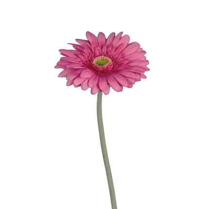 GERBERA artificiel fushia 64 cm - vue rapprochée