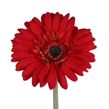 GERBERA artificiel rouge 64 cm - tête