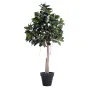 FICUS artificiel ELASTICA ou caoutchouc  220 cm