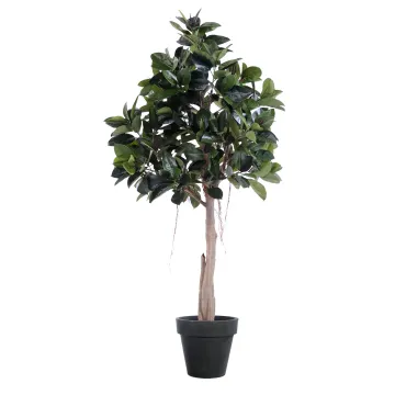 FICUS artificiel ELASTICA ou caoutchouc  220 cm