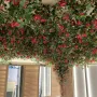 plafond restaurant Guirlande de bougainvillée en fleurs 110 cm artificielles ANTI FEU