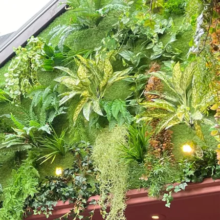 vu  plafond végétal avec AGLAONEMA artificiel 40 cm