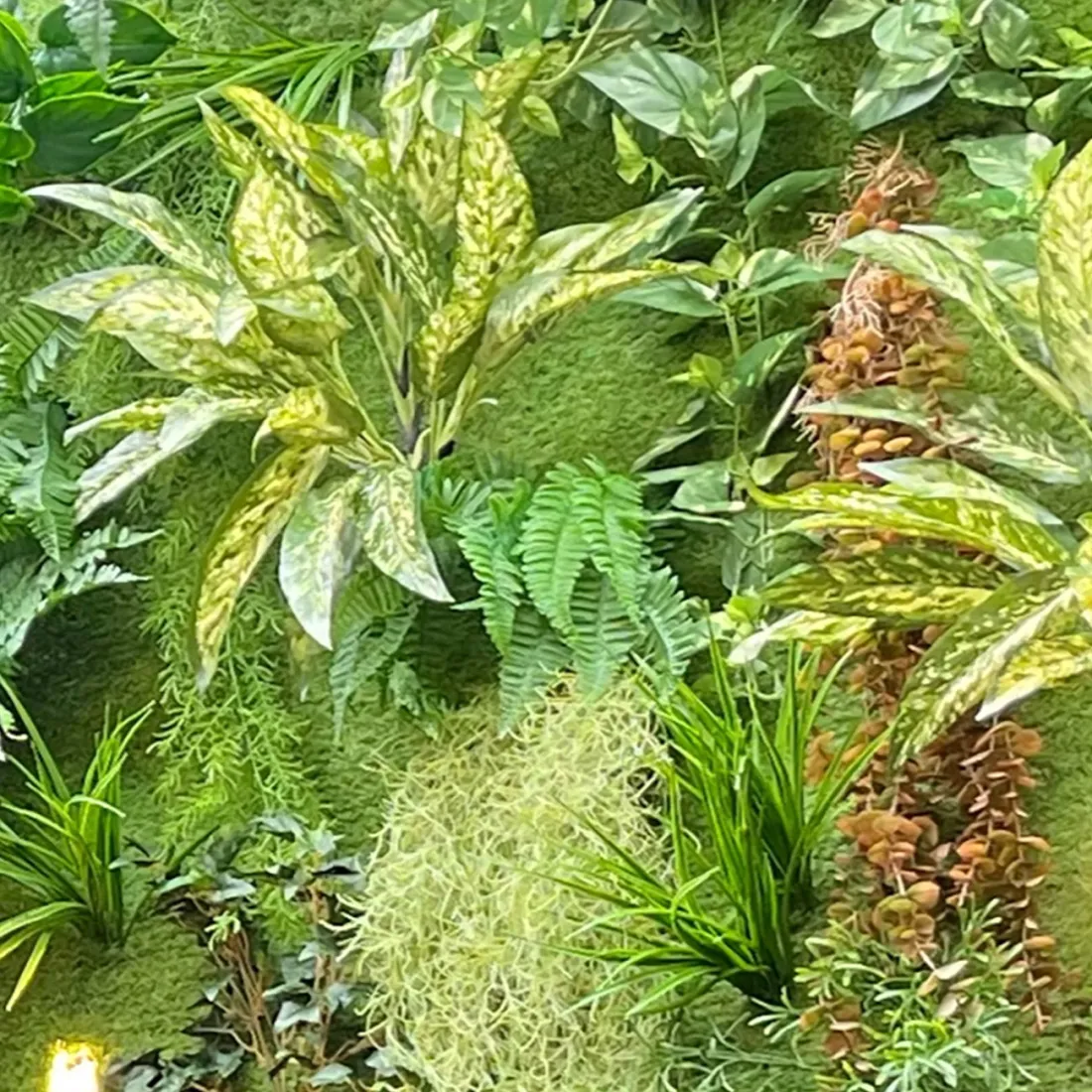 AGLAONEMA artificiel 40 cm - Plantes artificielles panaches bicolores -  Reflets Nature