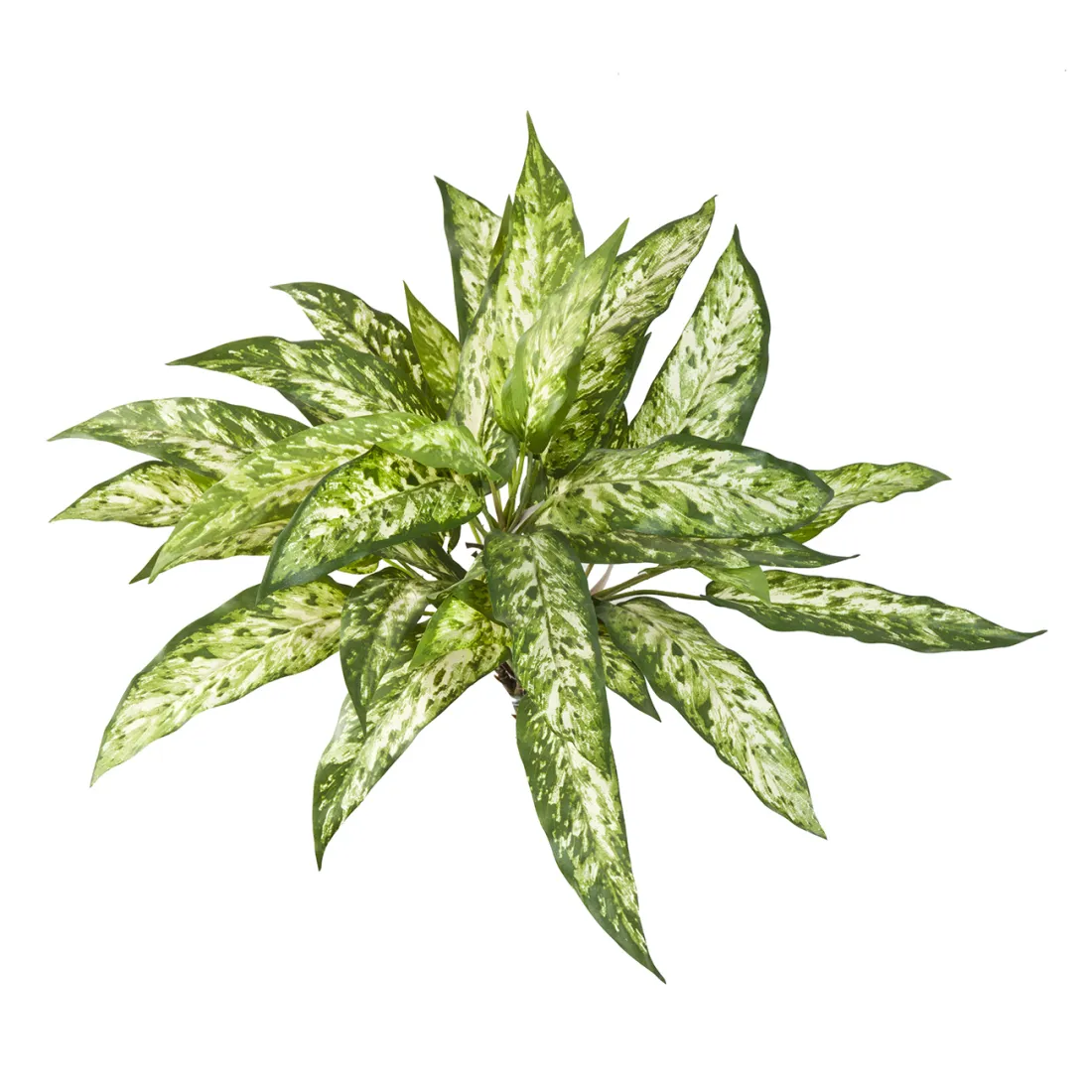 AGLAONEMA artificiel 40 cm