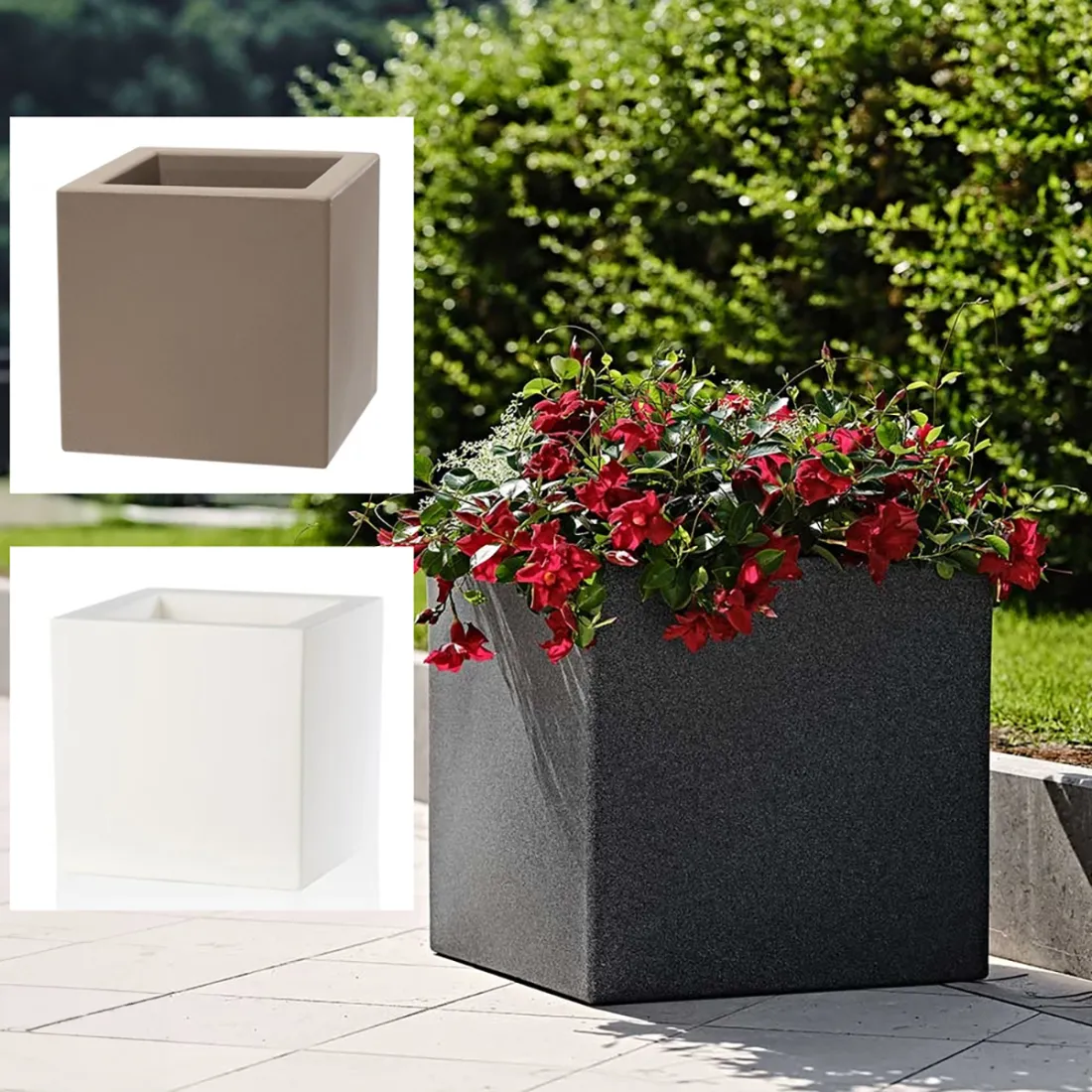 pot cube Strevi   30 à 50 cm