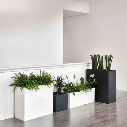 pot cube Strevi   25 cm à 50 cm