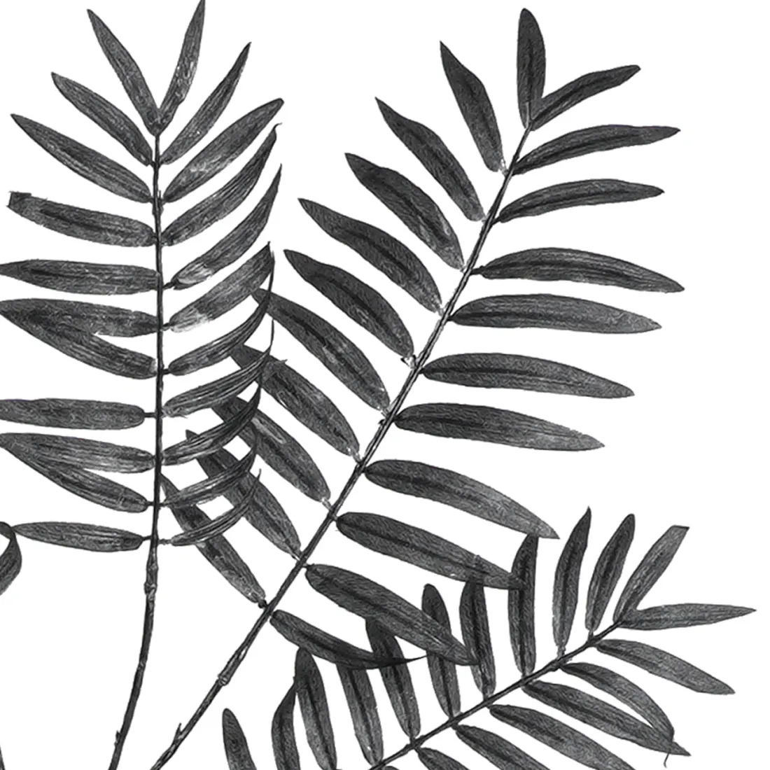 branche artificielle PARLOUR 120 cm noir irisé - détails feuilles