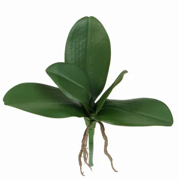 Feuilles de PHALAENOPSIS artificielle  25 cm