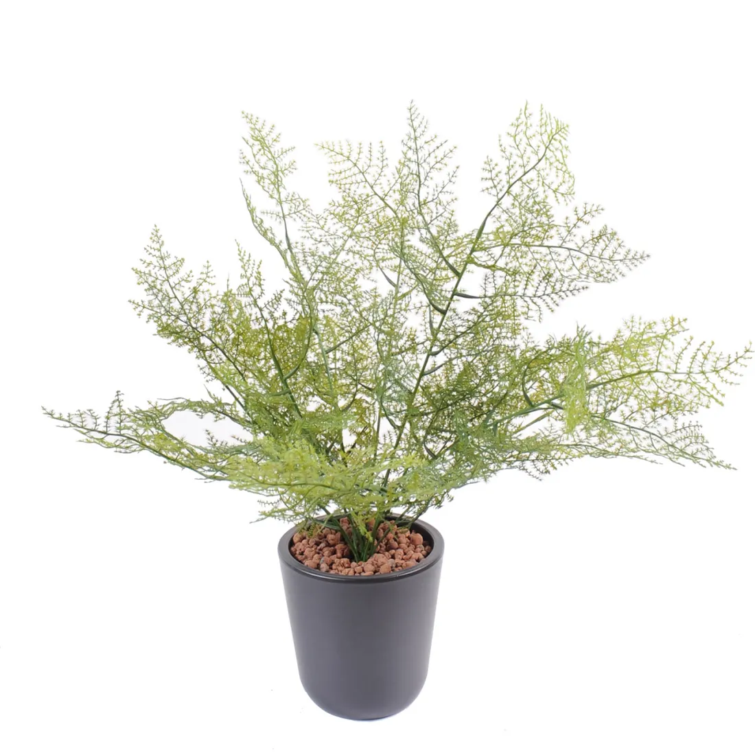 ASPARAGUS artificiel 50 cm