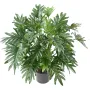 PHILODENDRON SELLOUM artificiel 75 cm - vu par dessus