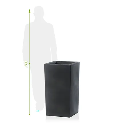 hauteur par rapport à un homme