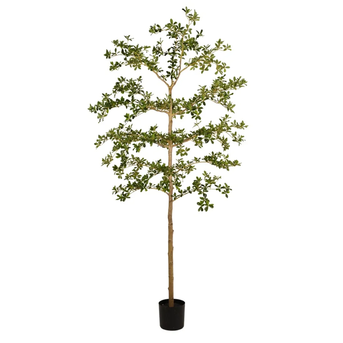 BUCIDA Buceras artificiel luxe 210 cm