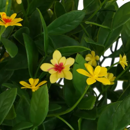 HELIANTHUS artificiel micro jaune 30 cm en pot  - détails fleurs