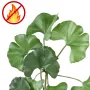 branche artificielle GINKGO 60 cm ANTI FEU - détails feuilles