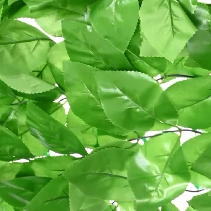 LIERRE FILET ARTIFICIEL  200x 300 cm