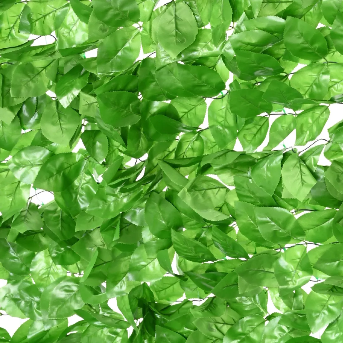 LIERRE FILET ARTIFICIEL  200x 300 cm