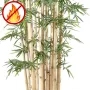 BAMBOU artificiel NEW GEANT 20 cannes 510 cm ignifugé - feuilles et cannes