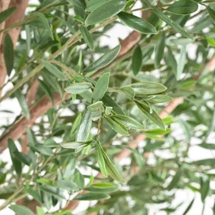 OLIVIER artificiel 400 cm uv