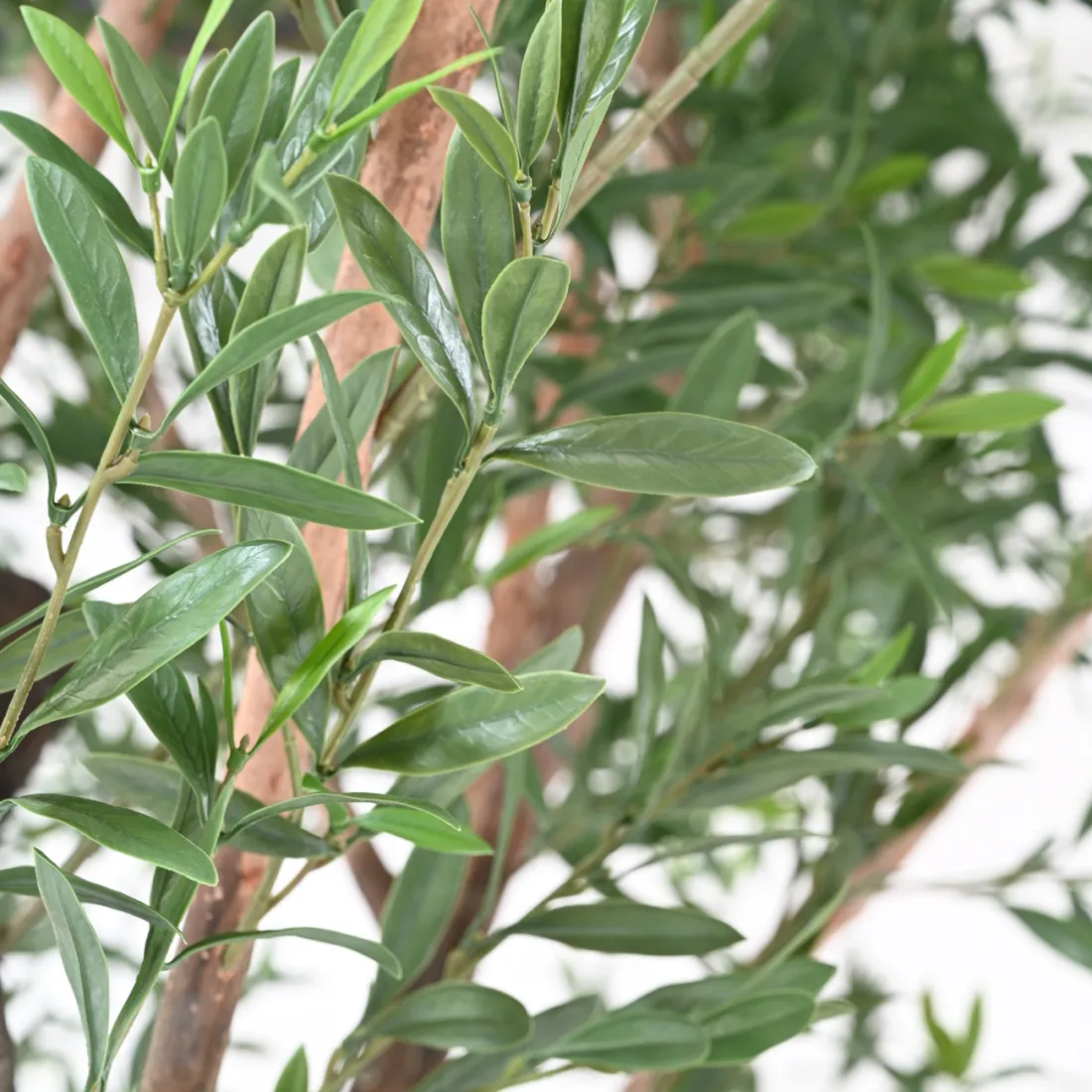 OLIVIER artificiel 400 cm uv