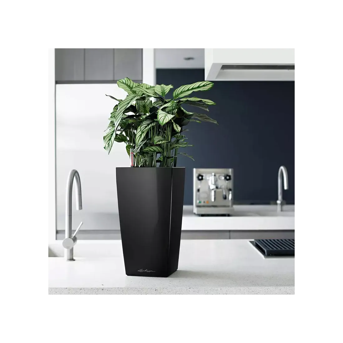 mise en situation Lechuza Cubico noir brillant hauteur 40 à 75 cm dans une cuisine