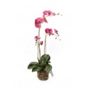 composition Phalaenopsis ORCHIDEE artificielle 80 cm