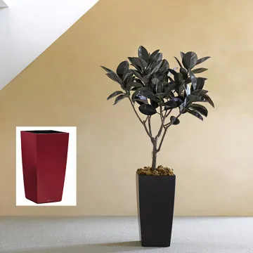 Lechuza Cubico hauteur 40 cm noir et rouge