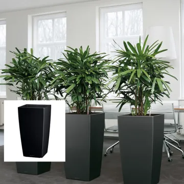 Lechuza Cubico hauteur 75 cm noir et gris