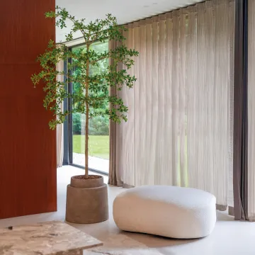 BUCIDA Buceras artificiel luxe 210 cm - en situation dans un salon