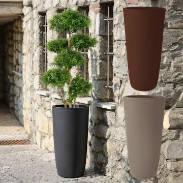 pot Dafné 80 ou 100 cm -3 couileurs