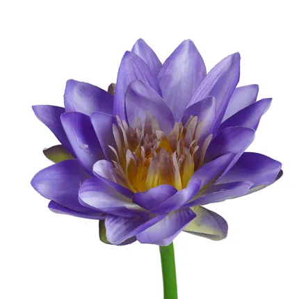 LOTUS artificiel 80 cm violet - détails pétale