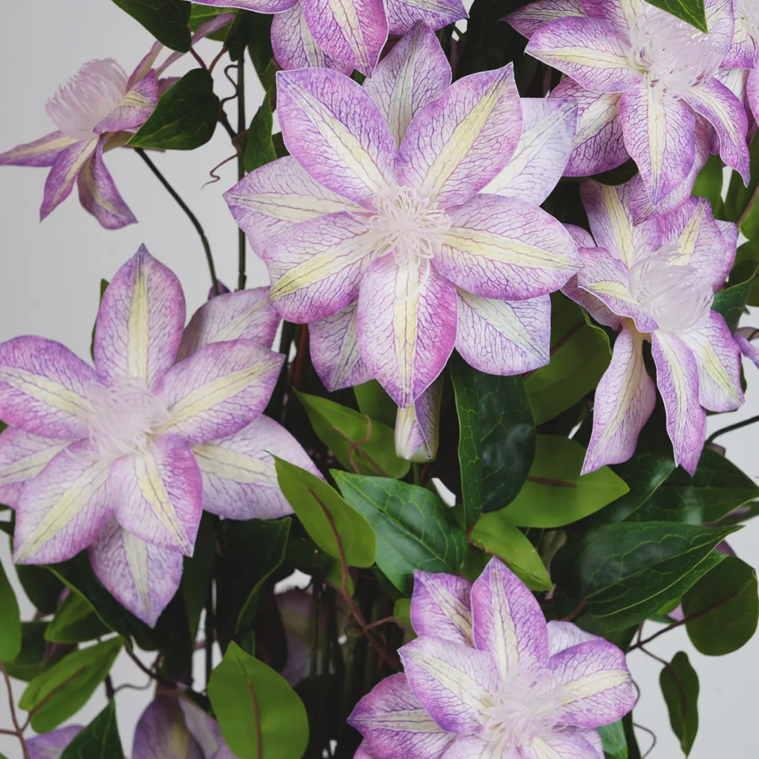 CLEMATITE artificielle 120 cm en pot décoratif - détail fleur