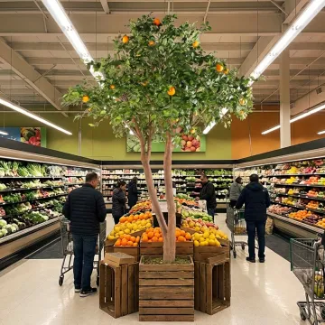 ORANGER géant artificiel 340 cm