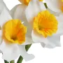 bouquet de NARCISSE artificielle 40 cm - détails fleurs