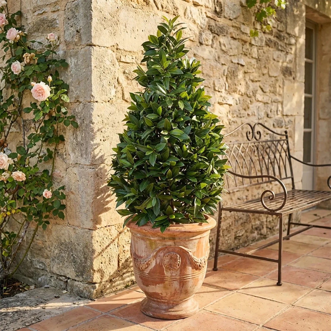 LAURIER SAUCE artificiel cone 130 ou 150 cm sur une terrasse