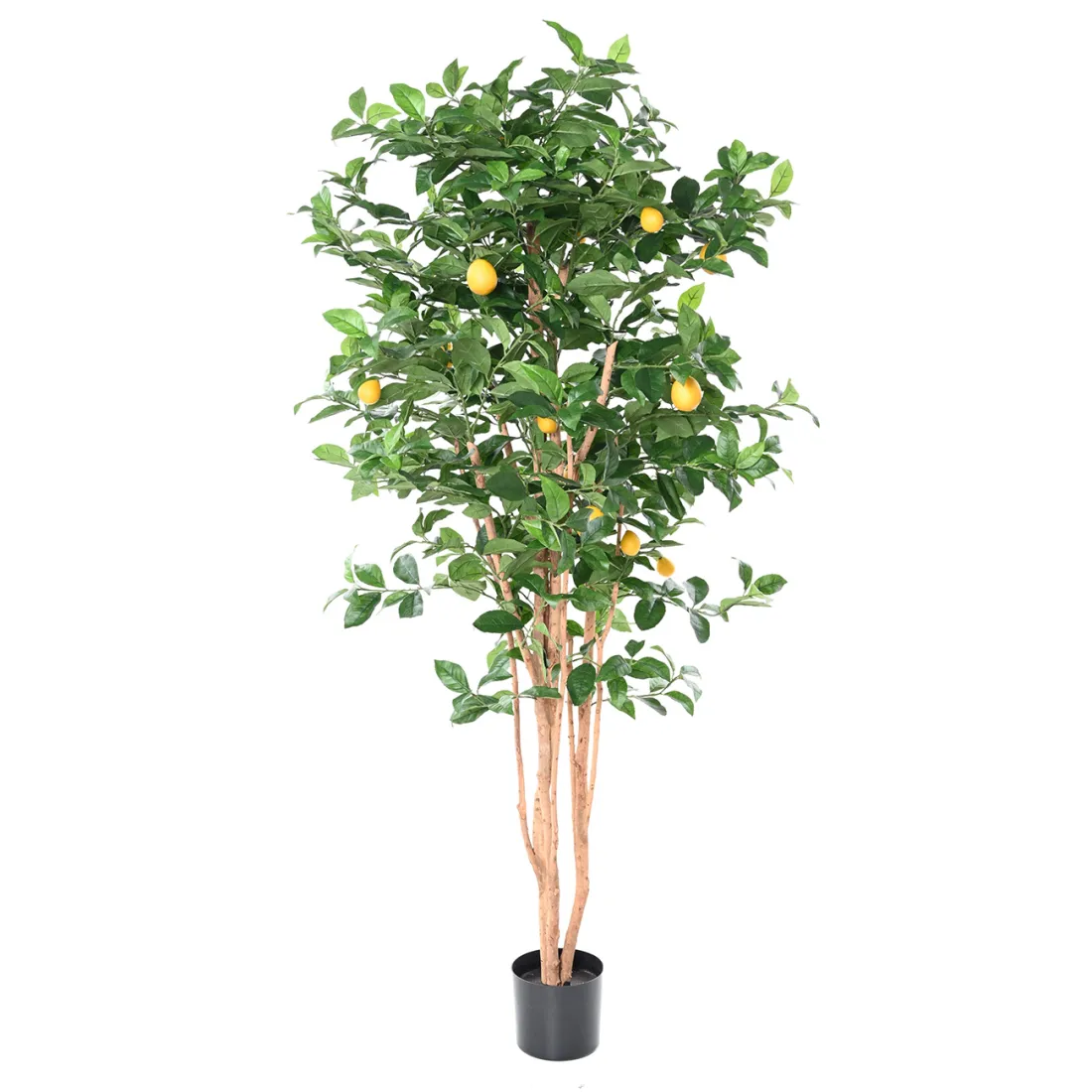 CITRONNIER artificiel New  180 cm