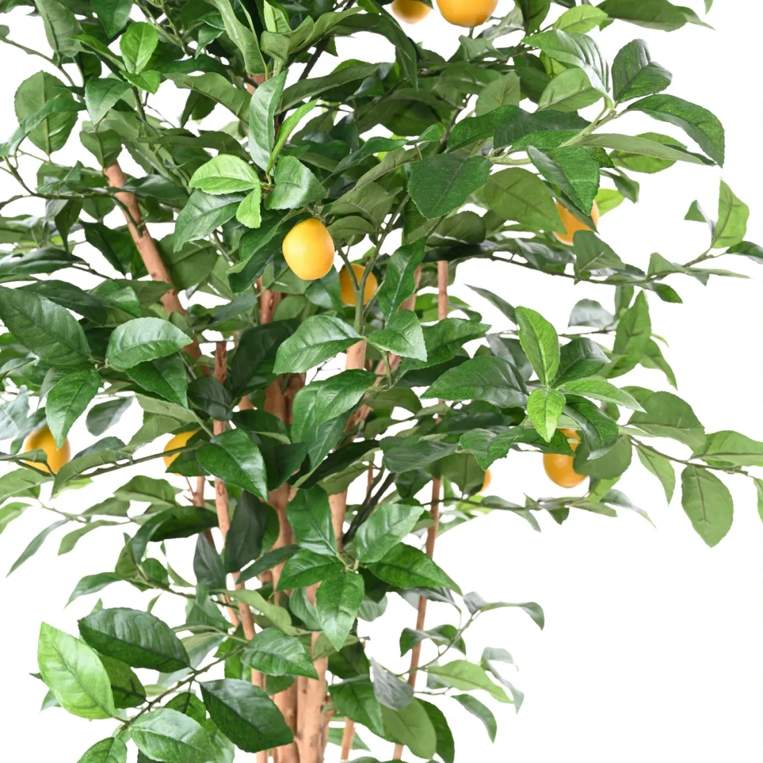 fruits et tronc CITRONNIER artificiel New   180 cm