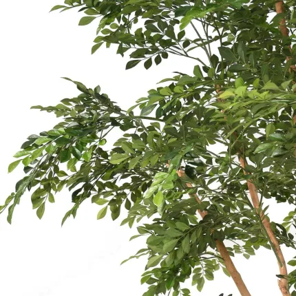 BUCIDA artificiel 330 cm  ANTI FEU - détails feuilles