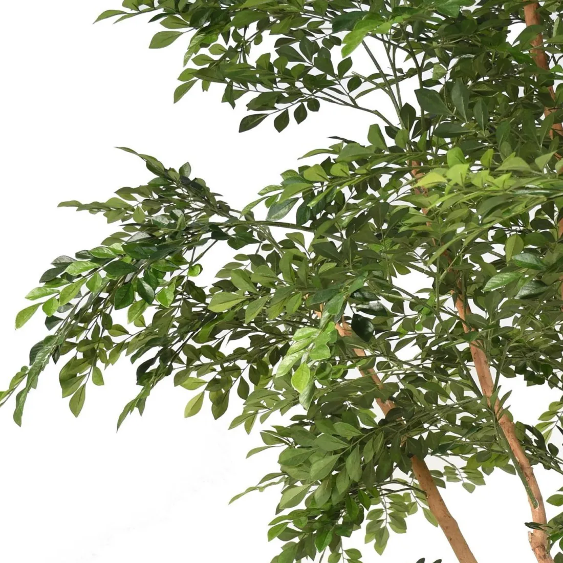 BUCIDA artificiel 330 cm  ANTI FEU - détails feuilles