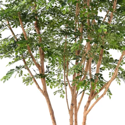 BUCIDA artificiel 330 cm  ANTI FEU détails tronc