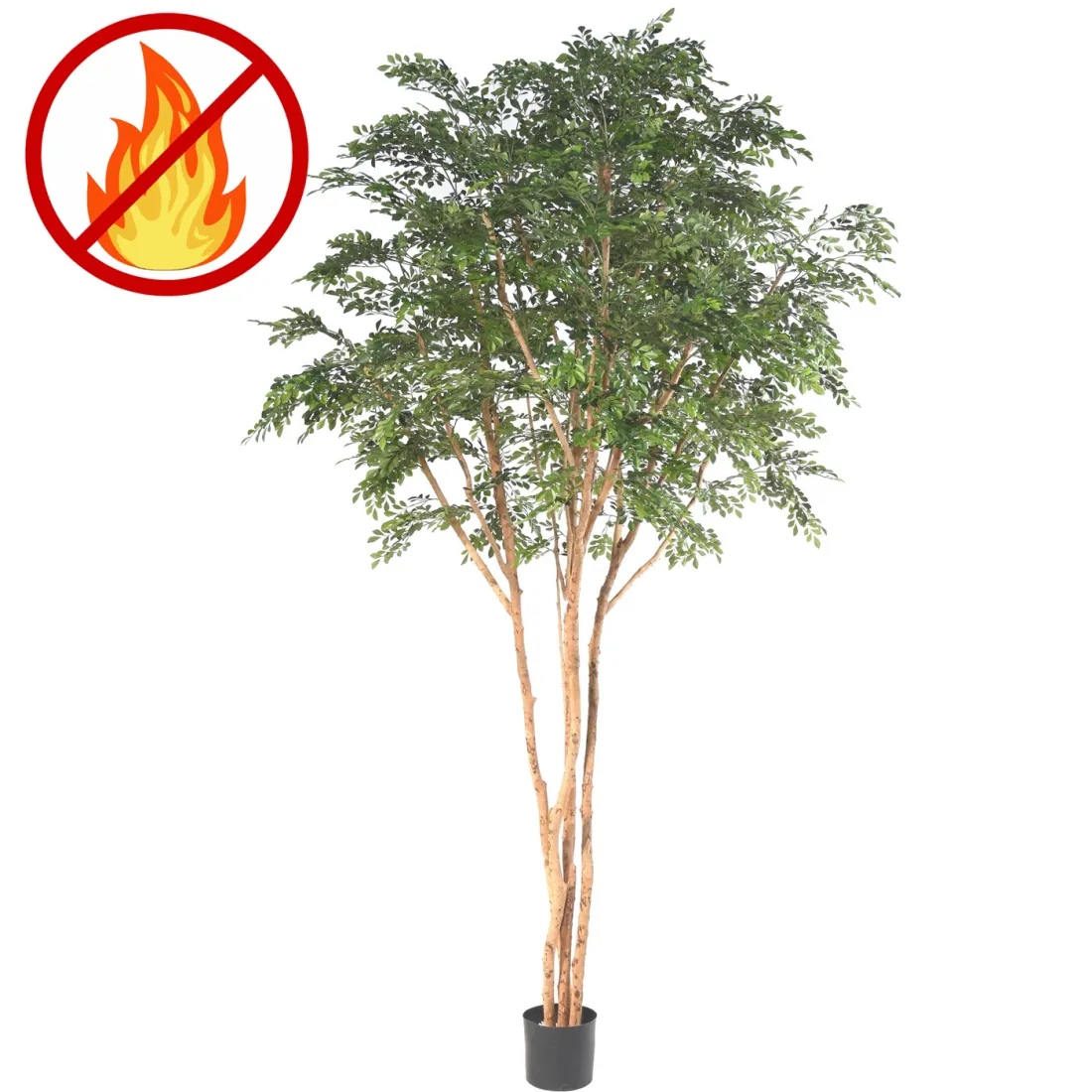 BUCIDA artificiel 330 cm  ANTI FEU